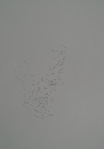 Die Gänse kommen zurück! Also kann ich nach Süden...
