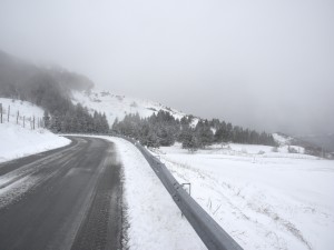Zurück im Winter
