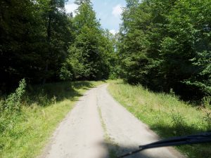20160818142224_026_Geyer-Harz_E-M1